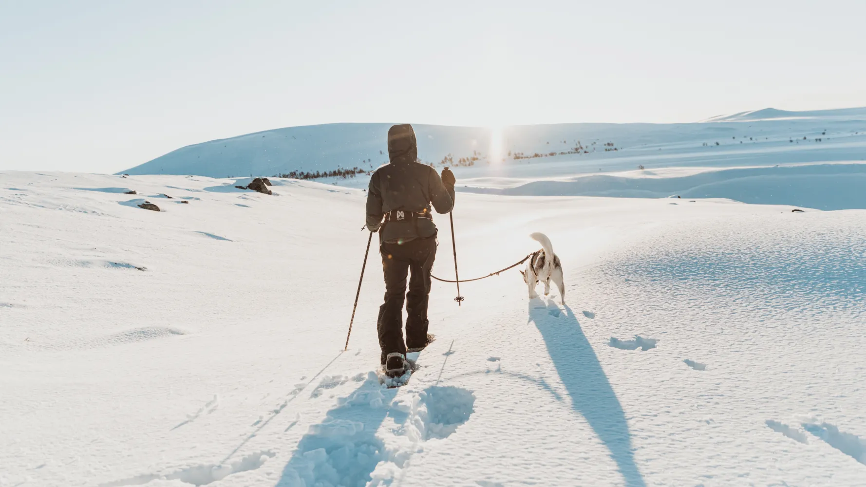 Snowshoeing 