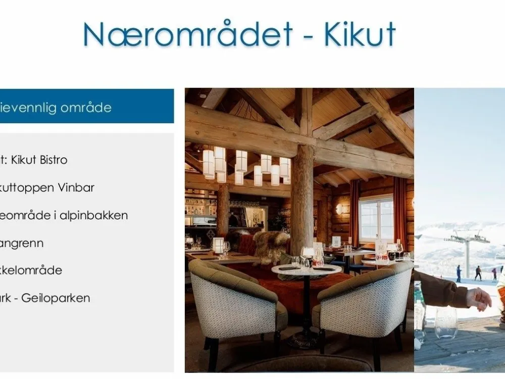 Kikut SkiFront - Chalet Rental Cabins