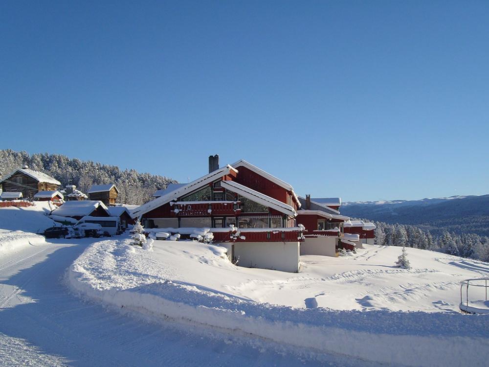 Tobogganing in Skurdalen - Lia Fjellhotell