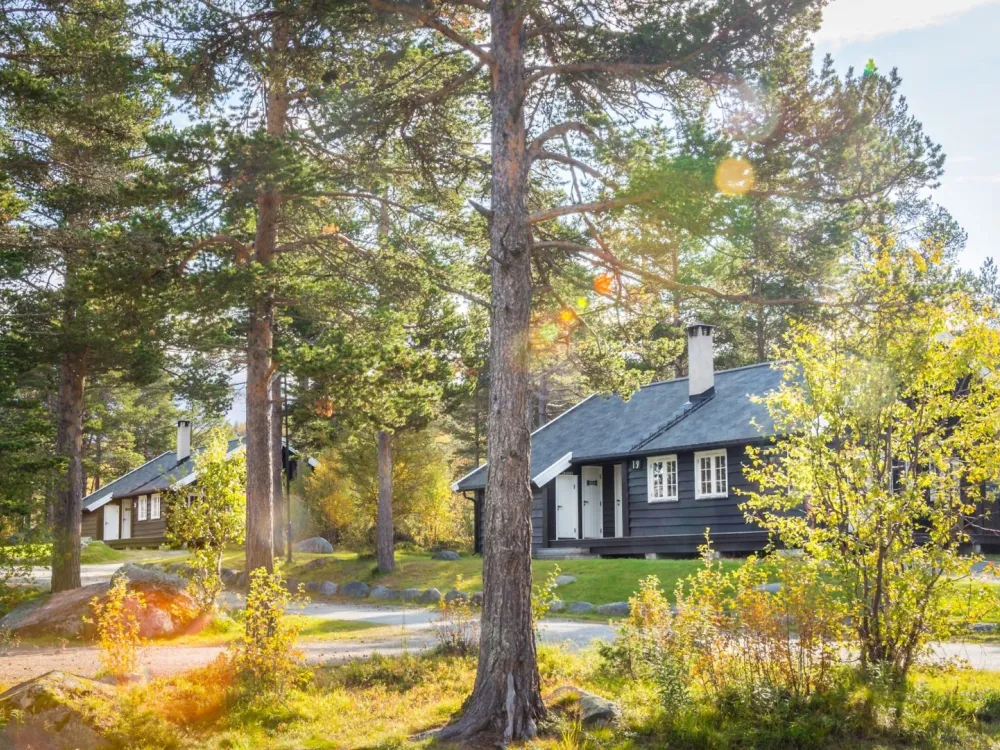 Geilolia Hytter og Leiligheter 