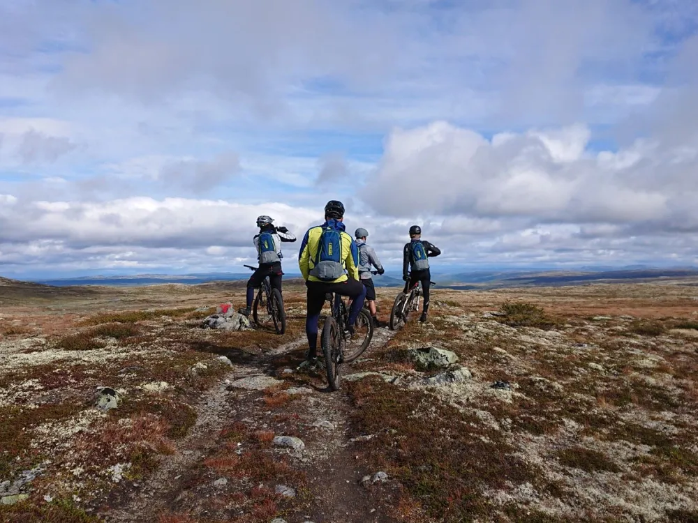 Stisykling med guide - Dagstur (6-8 timer)