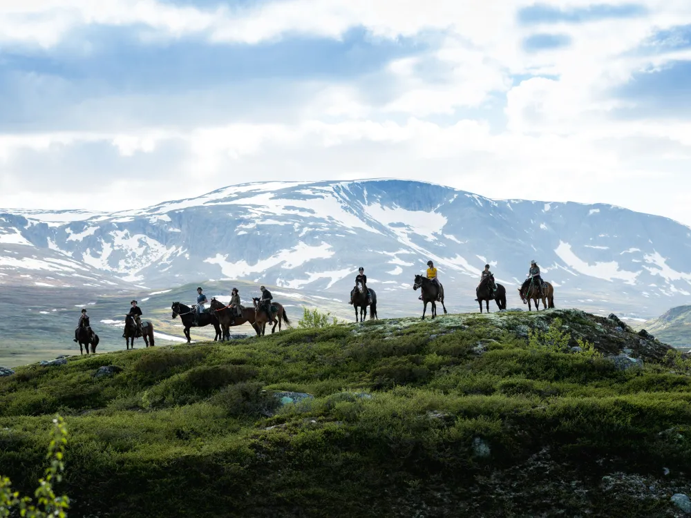 Fjellridning – 3 timers tur