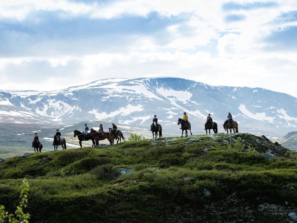 Mountain horseback riding – 3 hours