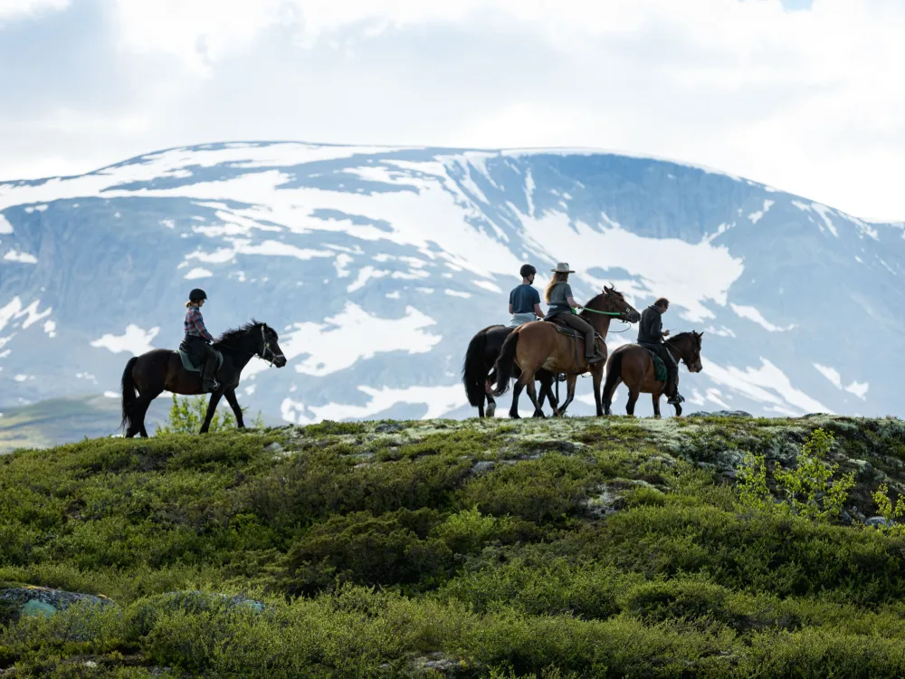 Fjellridning – 3 timers tur