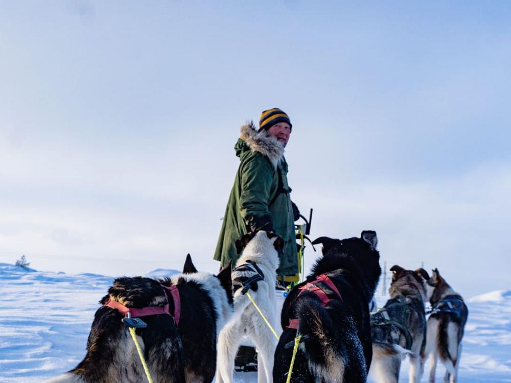 Dogsledding - Whole day tour with Petter