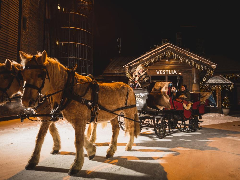 Exclusive horse-drawn sleigh ride