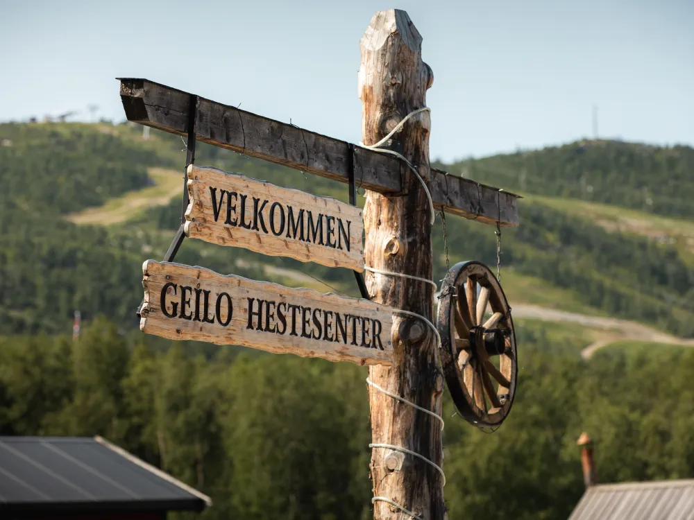 2 timers ridetur - Geilo Hestesenter