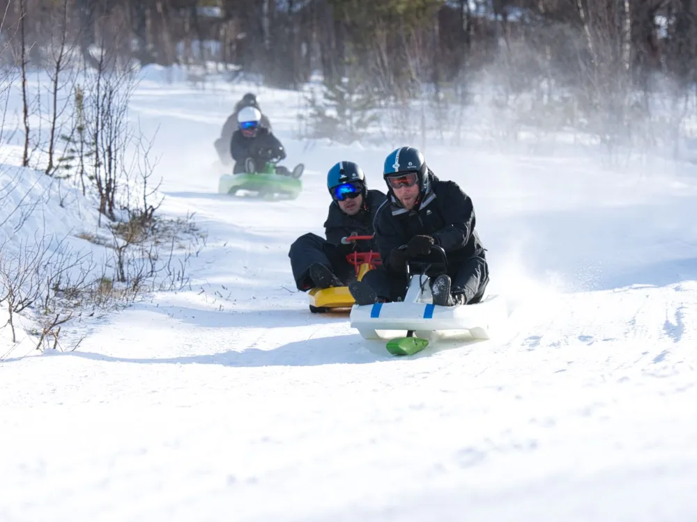 Lift-based sledding - 2 hours action on the toboggan run