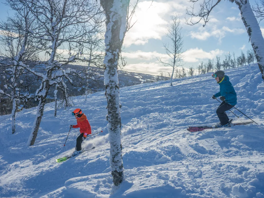 55 min privat skikurs