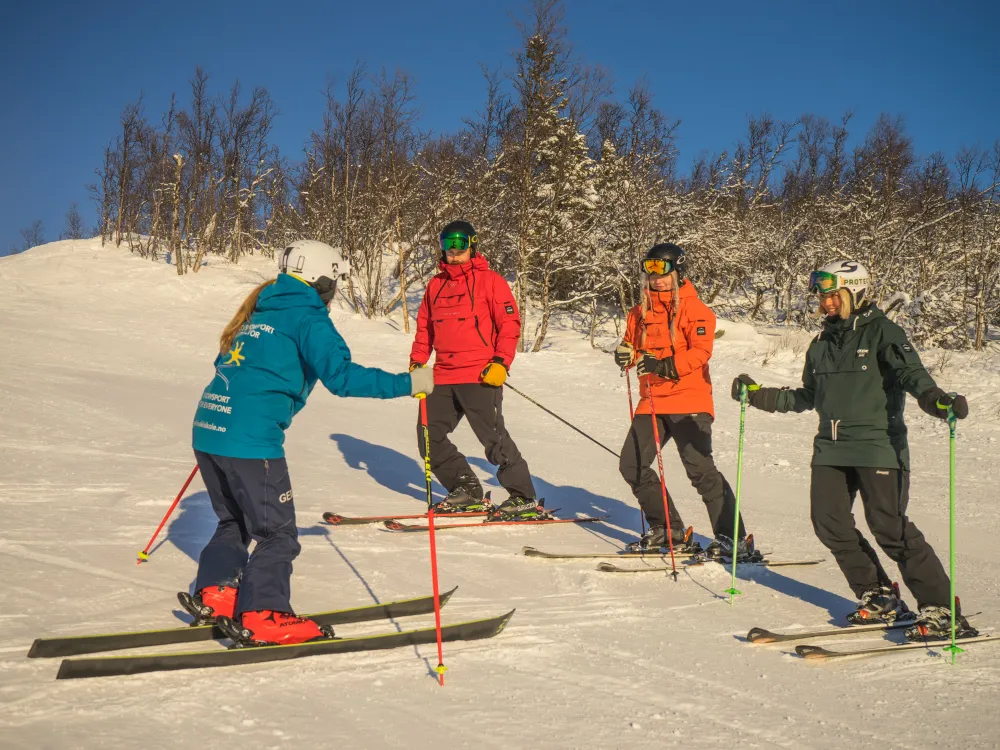 Alpine ski school Adult - Geilo Ski school