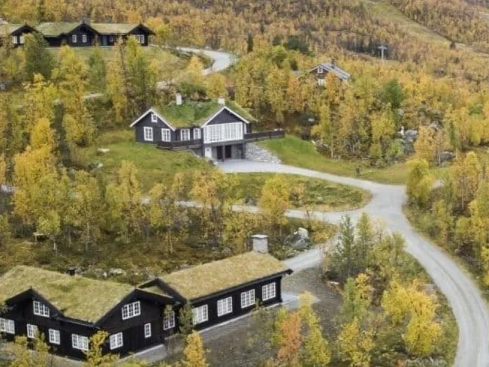 Sørhallie AS
