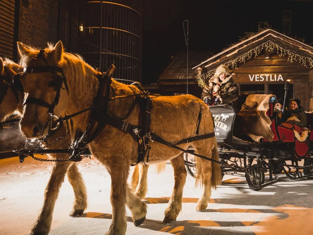 Vestlia Resort AS
