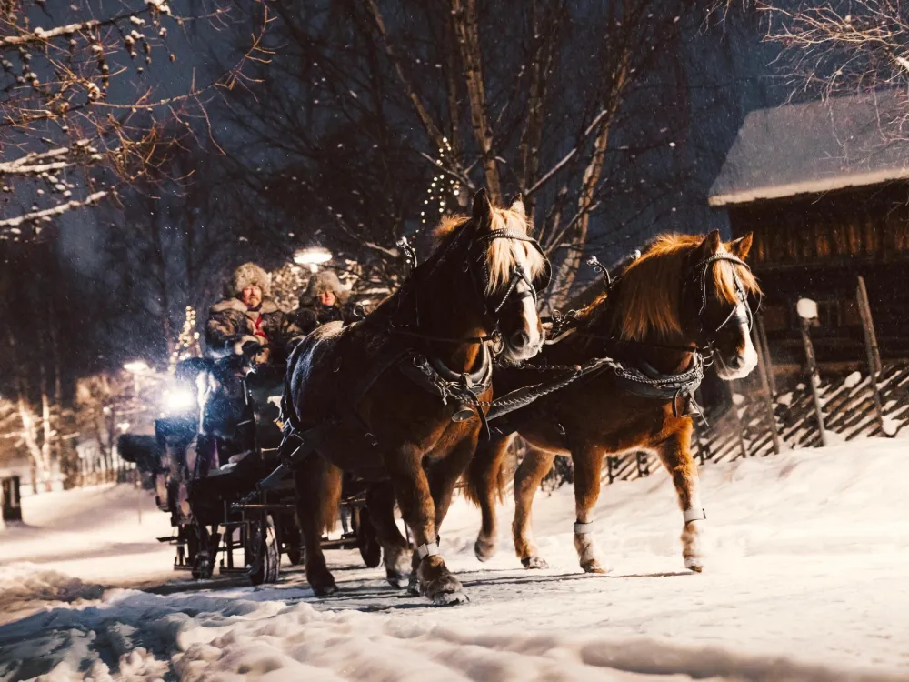 Exclusive horse-drawn sleigh ride