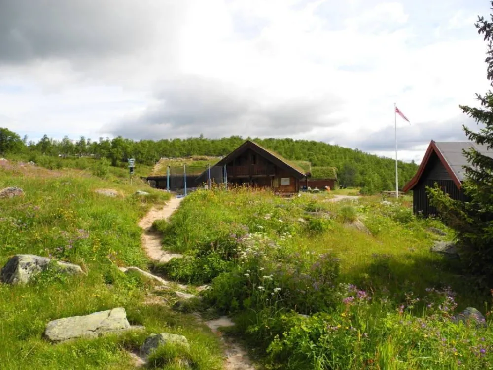 Hakkesetstølen Mountain Lodge and Cabins