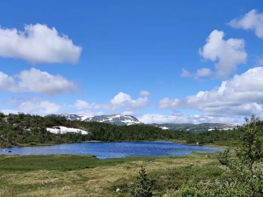 Hakkesetstølen Mountain Lodge and Cabins