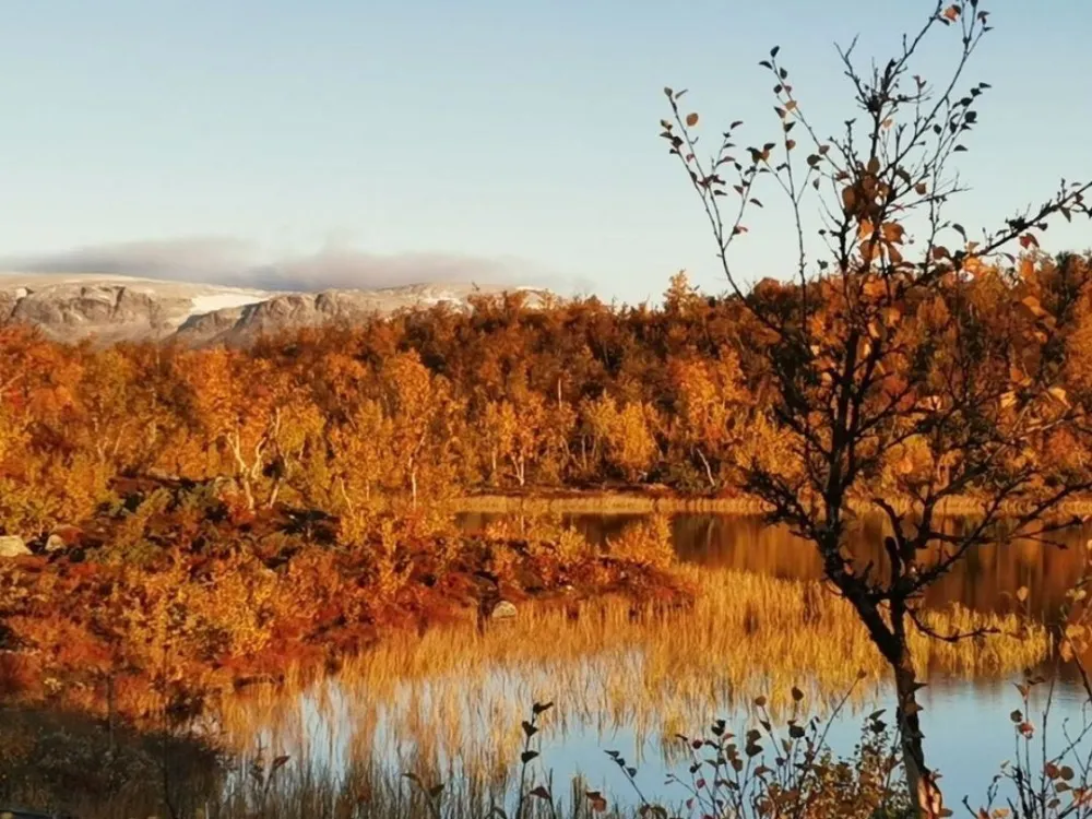 Hakkesetstølen Mountain Lodge and Cabins