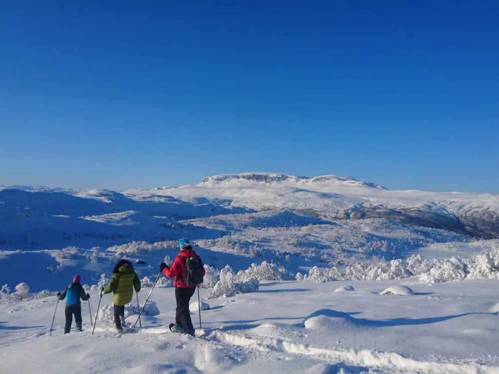 Fjelltur på truger