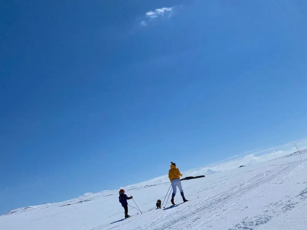 Rennedalen Fjellhytter