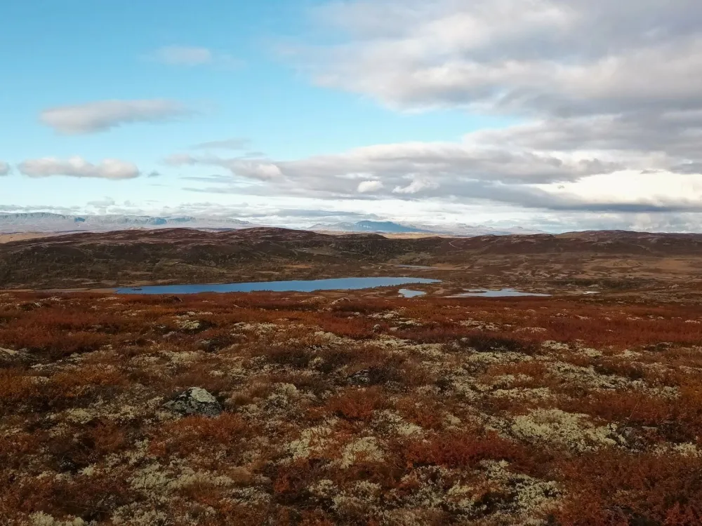 Havsdalshovda