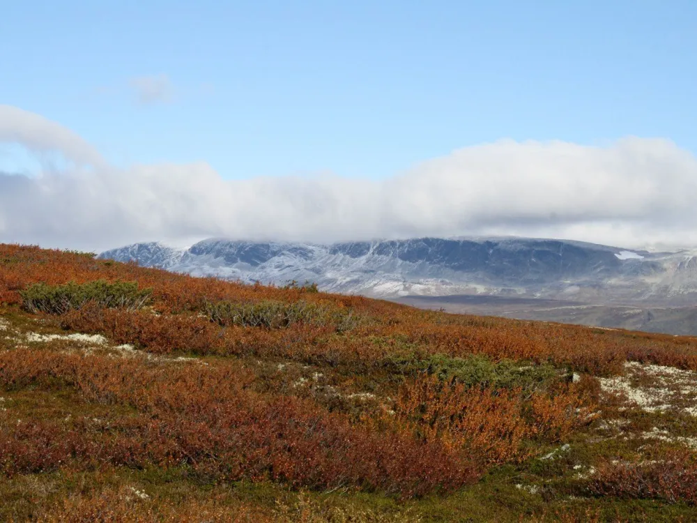 Tuva Turisthytte AS
