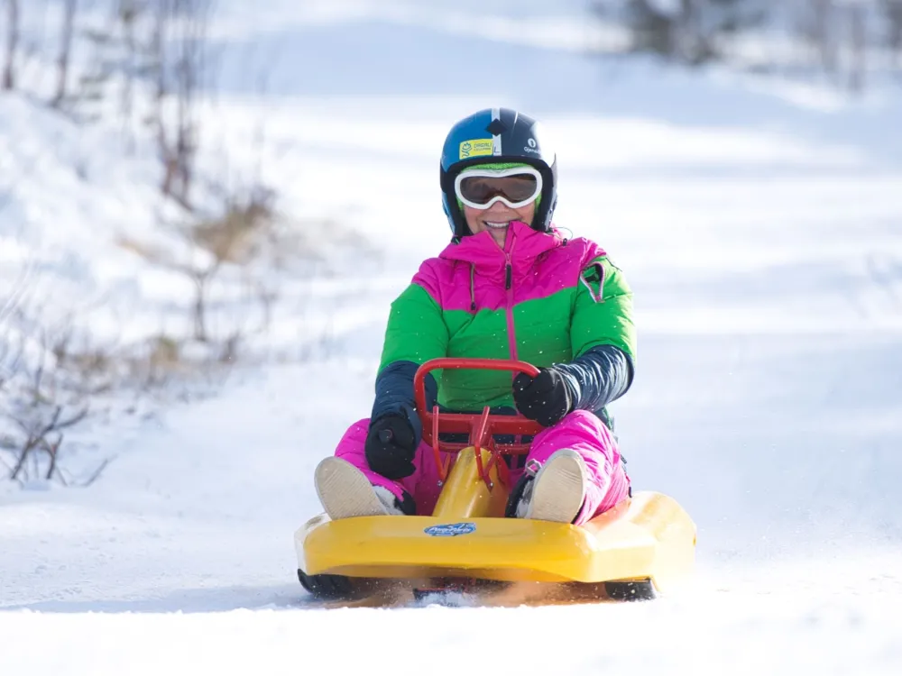 Lift-based sledding - 1 hour 