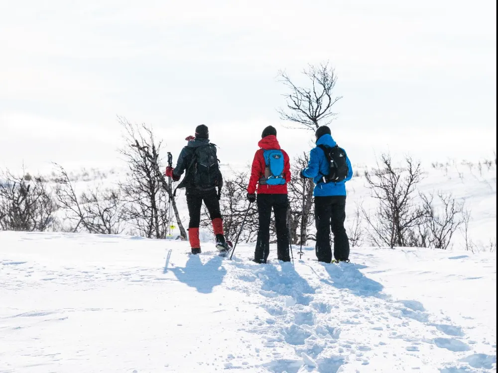 Fjelltur på truger