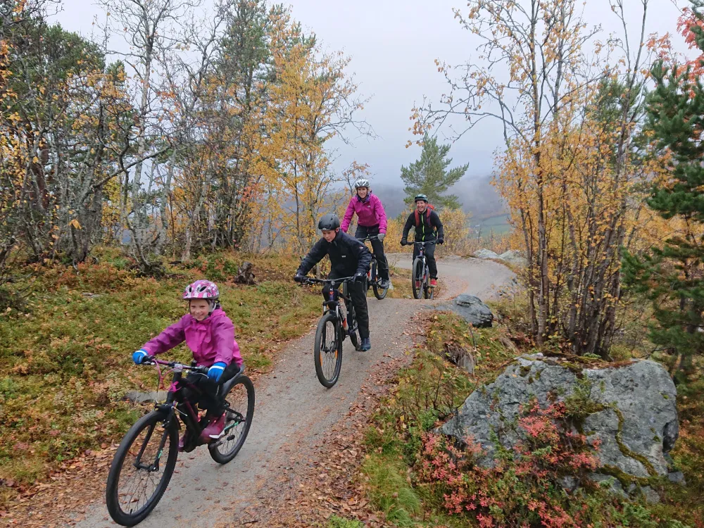 Ride with guide - beginners-/family trip. 