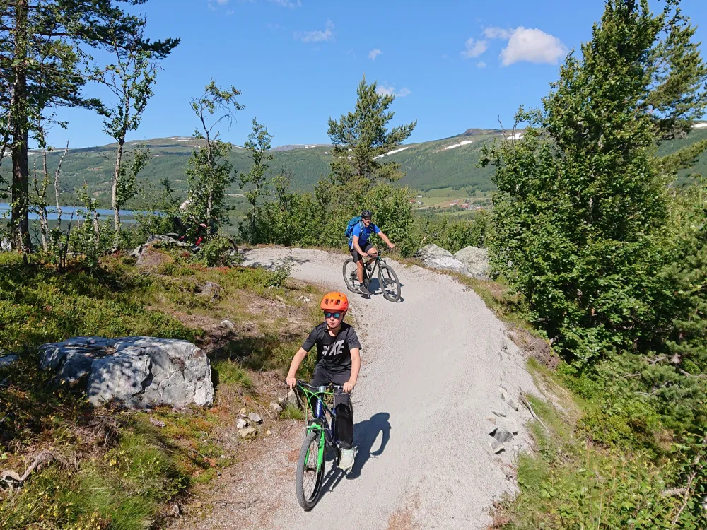 Ride with guide - beginners-/family trip. 