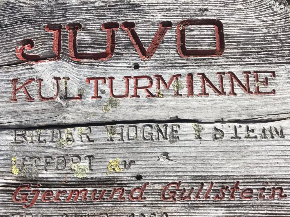 Juvo