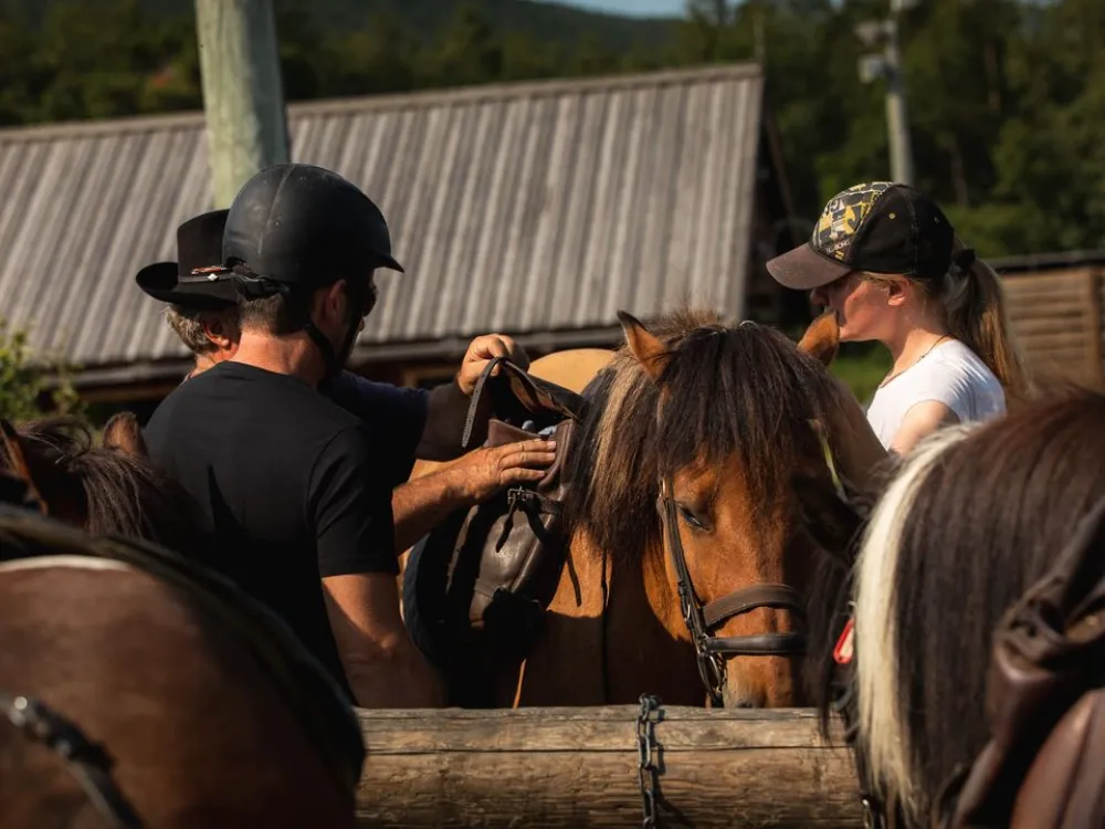 2 timers ridetur - Geilo Hestesenter