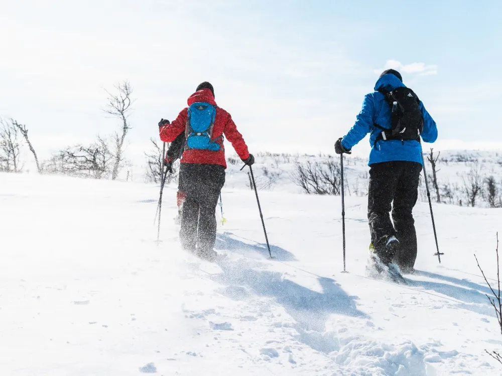Trugeutleie - Geilo Aktiv