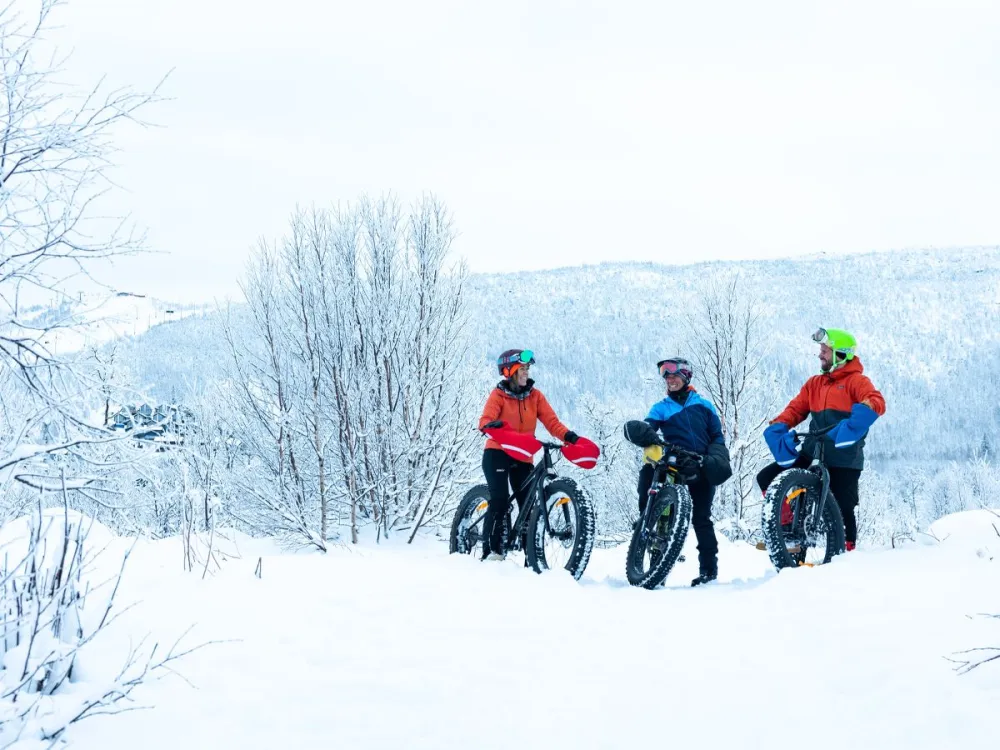 Fatbike rental
