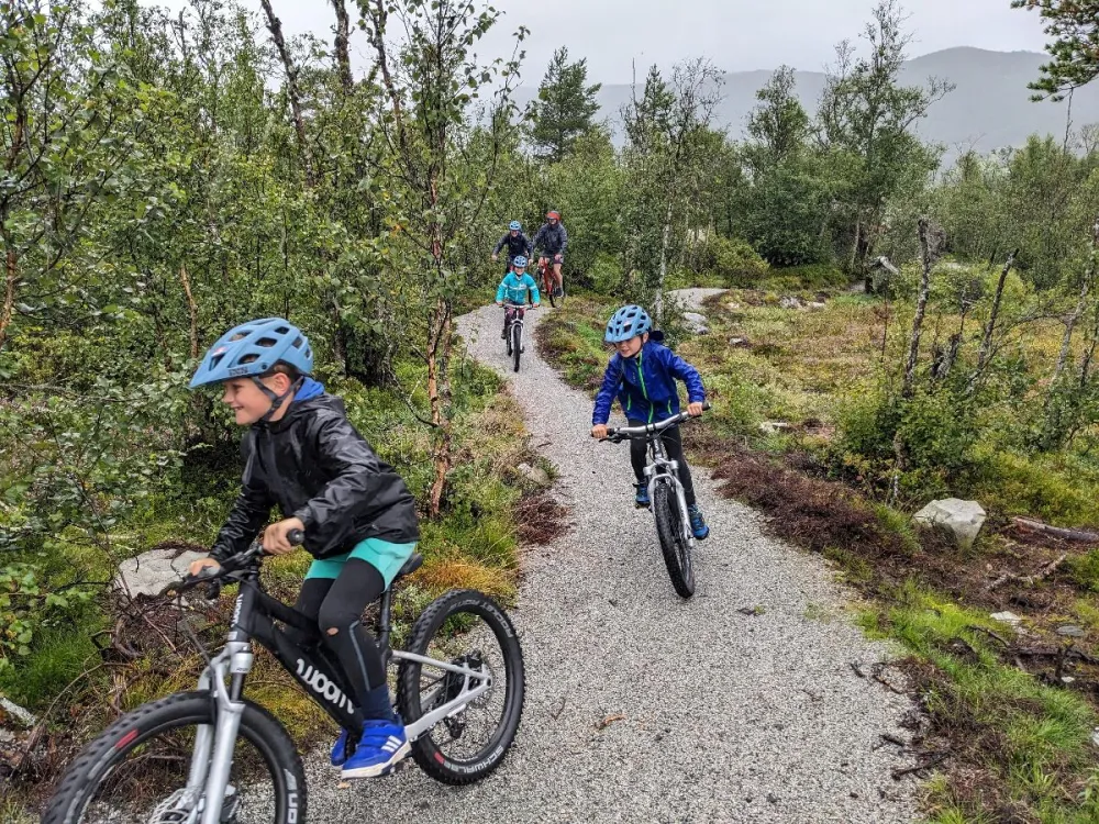 Ride with guide - beginners-/family trip. 