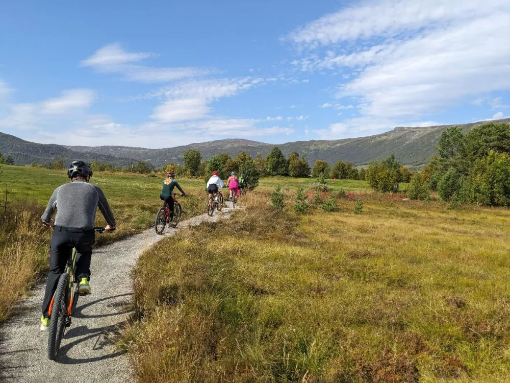 Ride with guide - beginners-/family trip. 