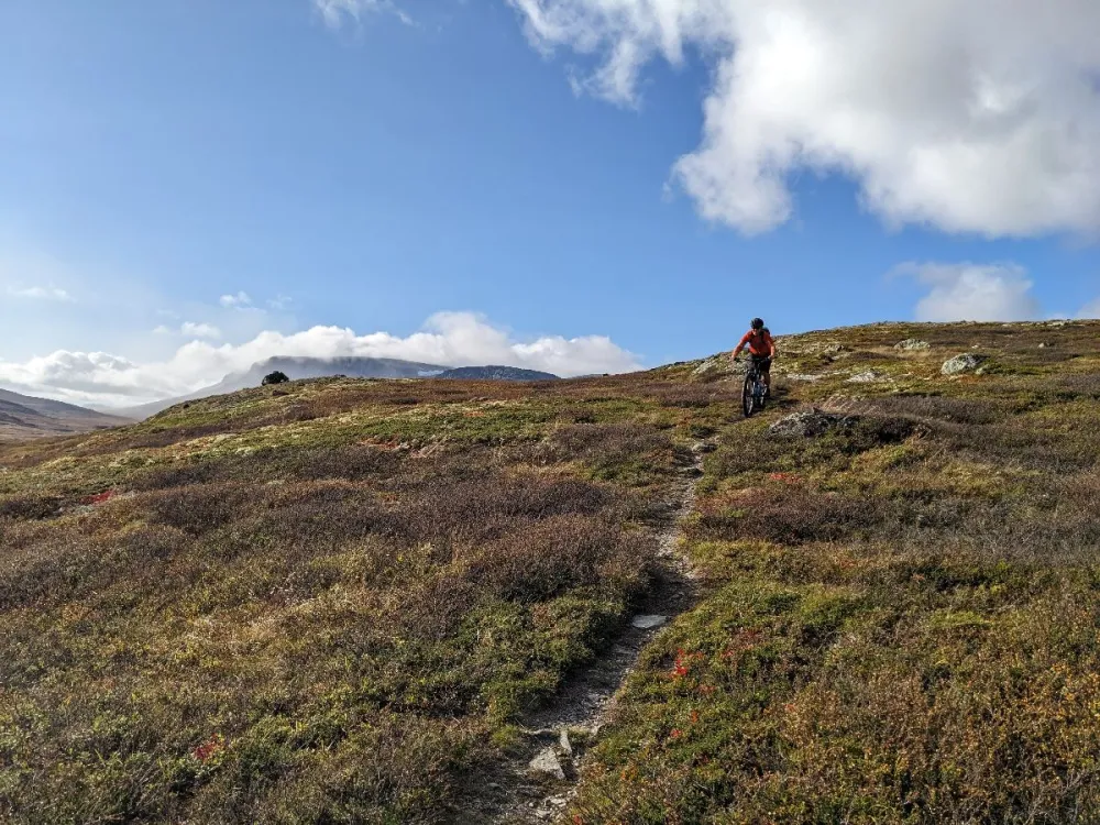 Stisykling med guide - 3-4 timer