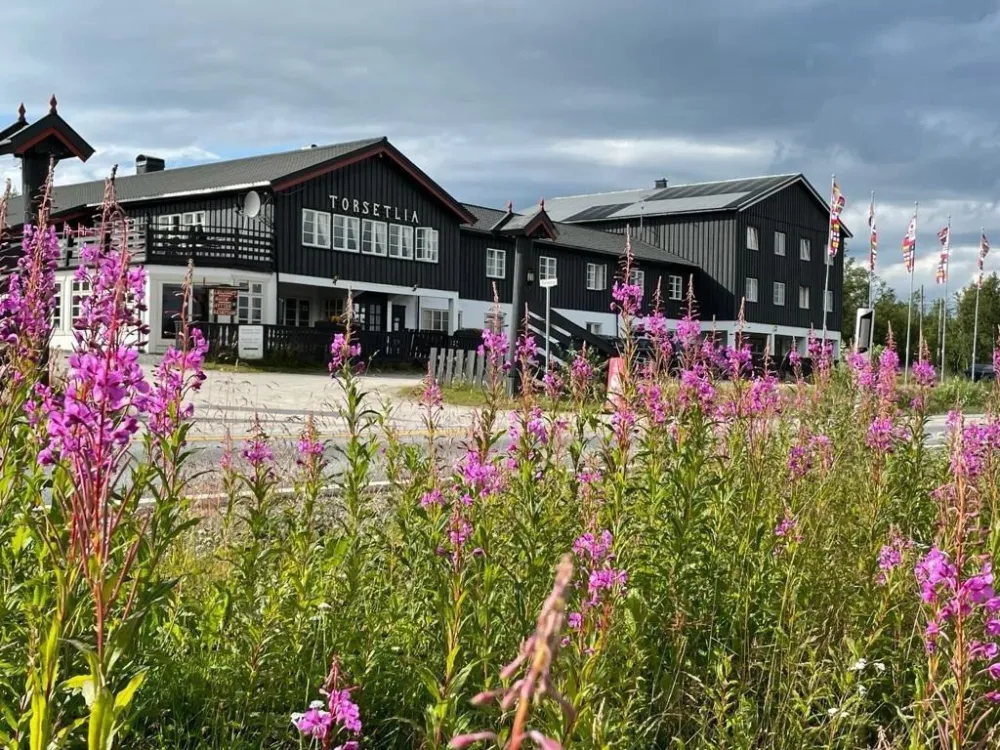 Torsetlia Fjellstue og Hyttegrend