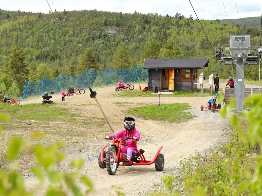 Mountain Cart