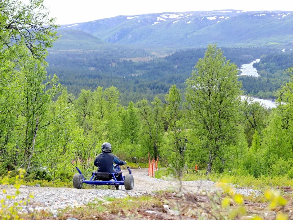 Mountain Cart