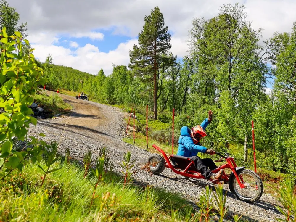 Mountain Cart