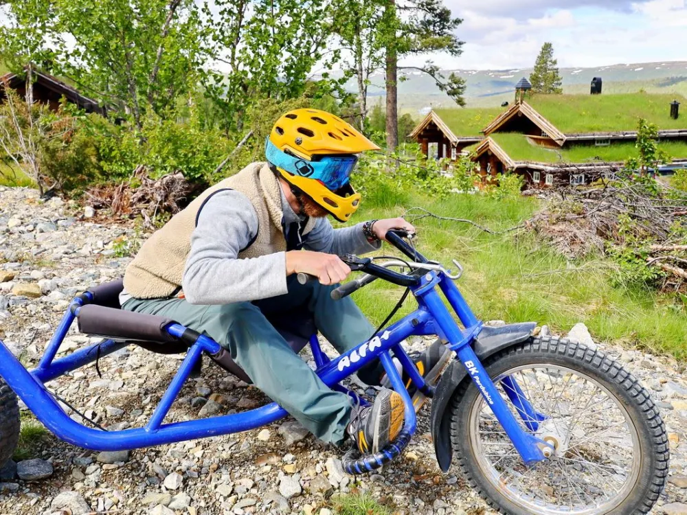Mountain Cart