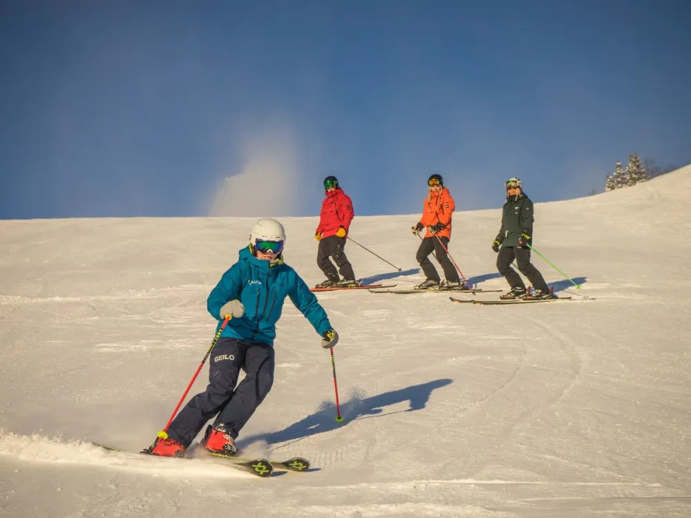 110 min Private Skilesson