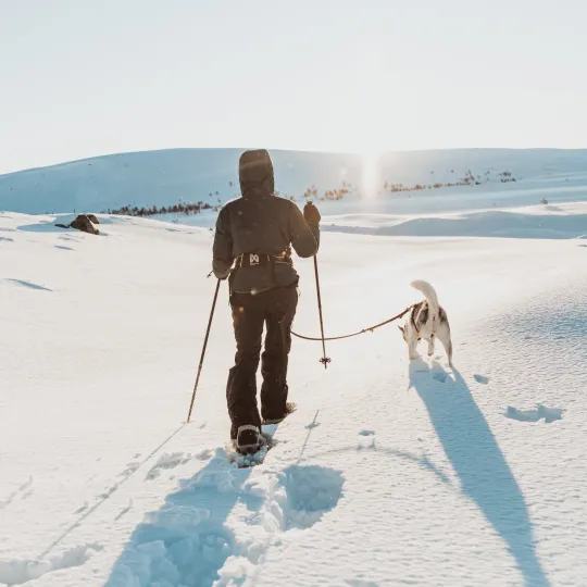 Snowshoeing 